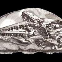 Georges Cuvier and the Mosasaur