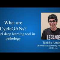 Tanishq Abraham; What are CycleGANs?
