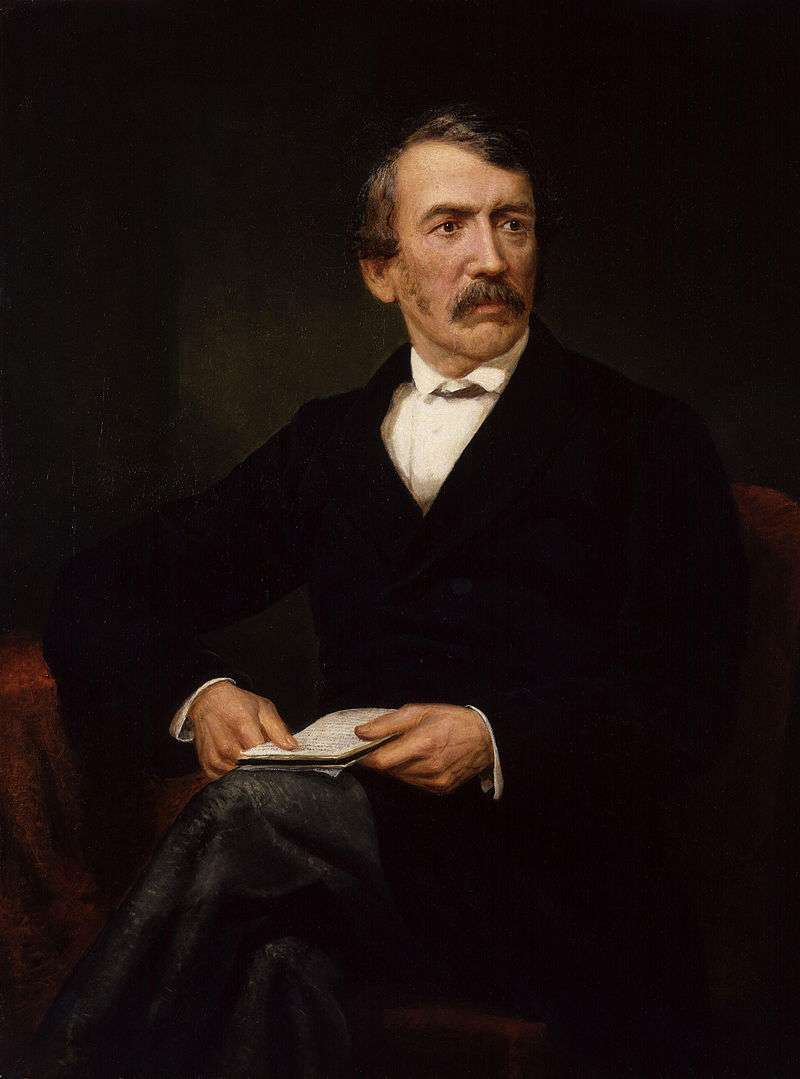 Posthumous portrait of David Livingstone by Frederick Havill