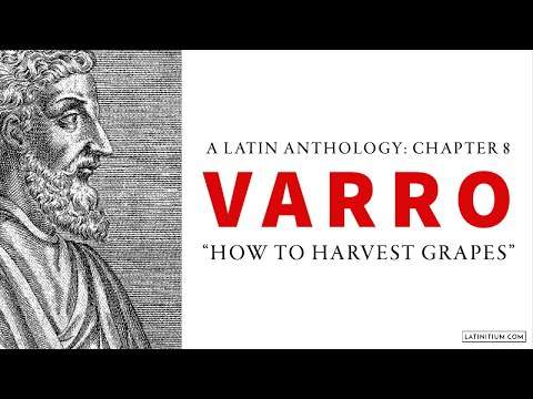 Varro | Chapter 8 | 2000 years of Latin Prose