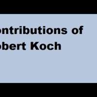 Robert Koch Contributions