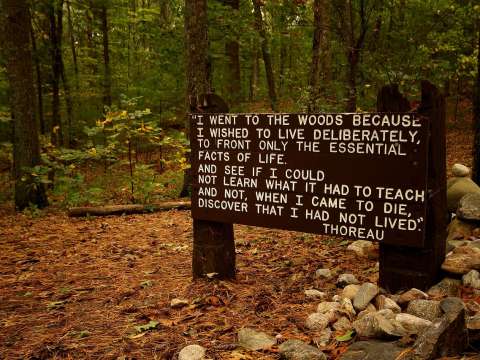 Thoreau's famous quotation, near his cabin site at Walden Pond