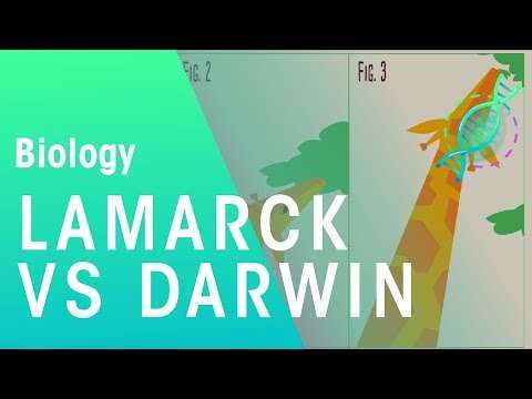Theories of evolution Lamarck vs Darwin