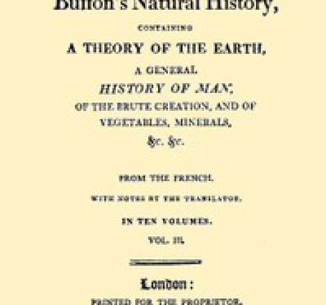 Buffon's Natural History, Volume 03