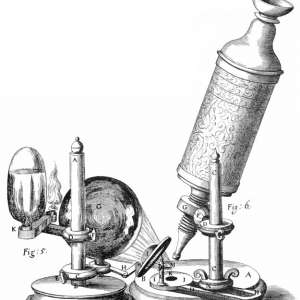 Crafting the microworld: how Robert Hooke constructed knowledge about small things