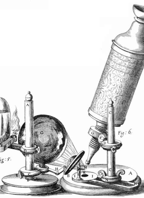 Crafting the microworld: how Robert Hooke constructed knowledge about small things