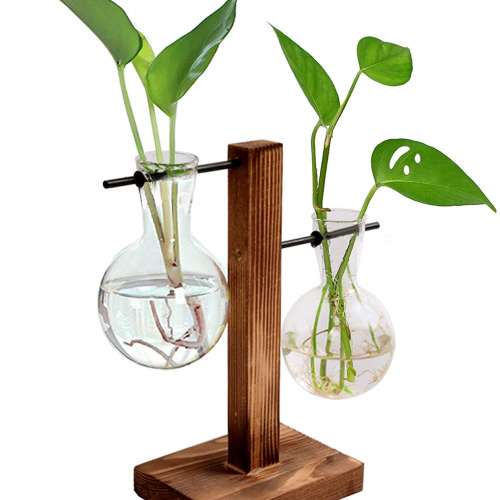 Hydroponic Planter Bulb Glass Vase