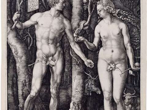 Adam and Eve, 1504