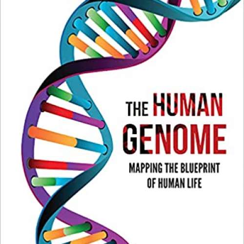 The Human Genome: Mapping the Blueprint of Human Life
