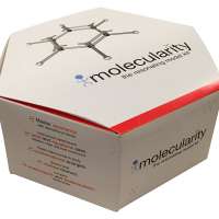 Organic Chemistry Student Molecular Model Kit