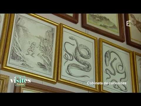 Buffon, le visionnaire des sciences de la nature - Visites privées