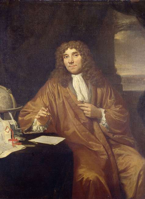The Other Legacy of Antonie Van Leeuwenhoek: The Polyamines
