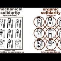 Durkheim's Mechanical and Organic Solidarity: what holds society together?