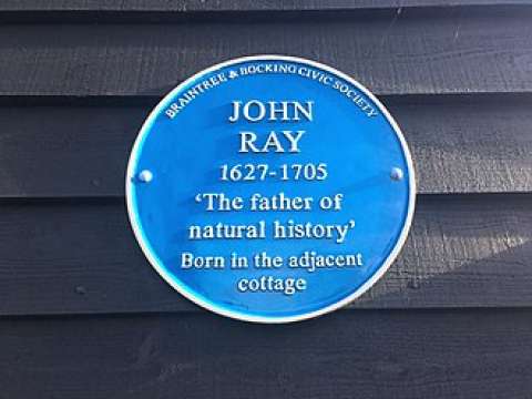 Blue plaque to John Ray