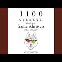 Chapter 7.4 - 1100 citaten van de grote Franse schrijvers uit de 19e eeuw
