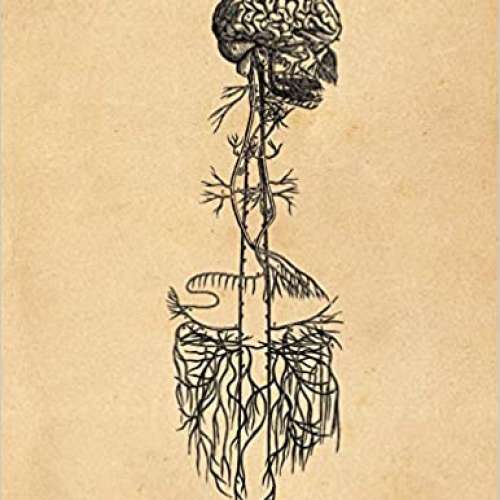 Andreas Vesalius Anatomy Notebook