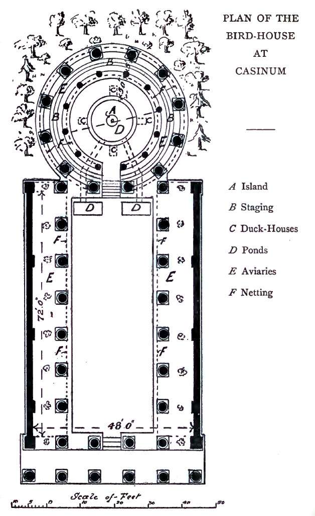 Plan of the birdhouse at Casinum designed and built by Varro