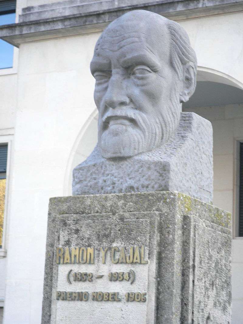 Bust of Santiago Ramón y Cajal in Burgos, 2014.