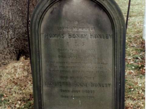 Huxley's grave in East Finchley Cemetery in north London