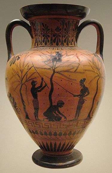 This 6th century Athenian black-figure urn, in the British Museum, depicts the olive harvest. 