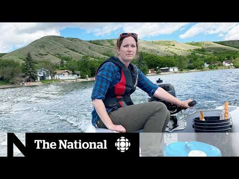 Climate change is sucking the oxygen out of Canada’s lakes