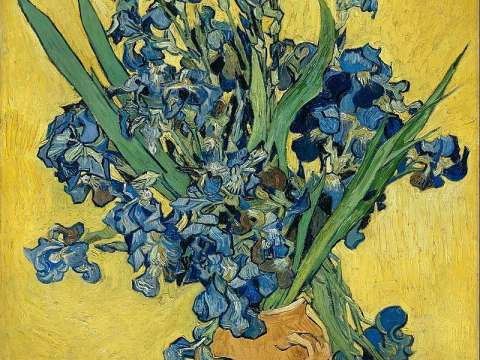 Vase with Irises Against a Yellow Background, May 1890