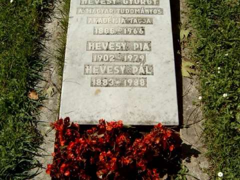 George de Hevesy's grave in Budapest. Cemetery Kerepesi: 27 Hungarian Academy of Sciences.