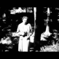 Pesticides - DDT - Rachel Carson - Silent Spring