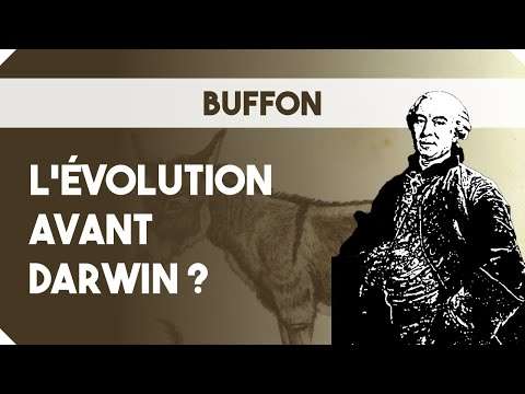 Georges-Louis Leclerc de Buffon