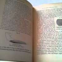 1873 HUGH MILLER SCOTTISH CREATIONIST GEOLOGY / DINOSAUR BOOK in FINE BINDING.