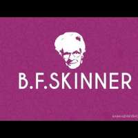 Everything about B. F. Skinner