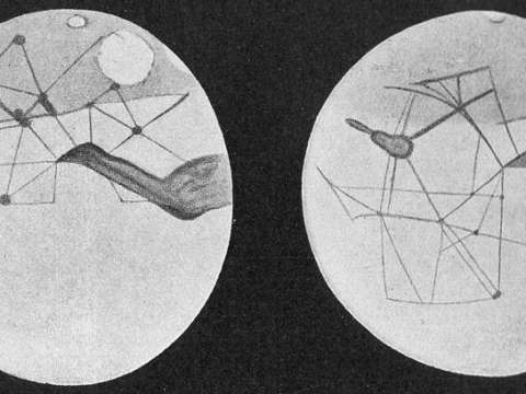 Martian canals depicted by Percival Lowell.