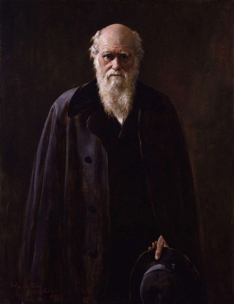 In 1881 Darwin was an eminent figure, still working on his contributions to evolutionary thought that had an enormous effect on many fields of science. Copy of a portrait by John Collier in the National Portrait Gallery, London.