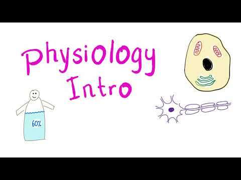 Physiology Introduction | The Scientific Study Of Functions and Mechanisms