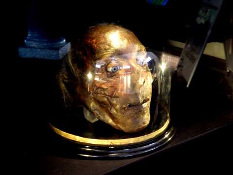 Jeremy Bentham's severed head, on temporary display at UCL