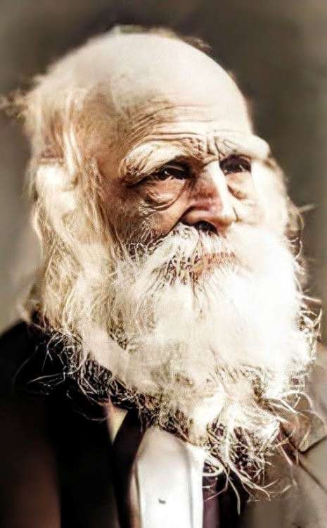 William Cullen Bryant