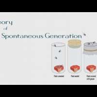 #5 Theory of Spontaneous Generation | The BioChemistry Guide | 2014