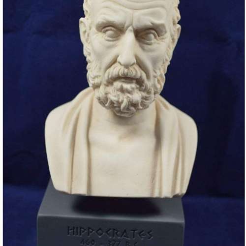  Hippocrates Bust