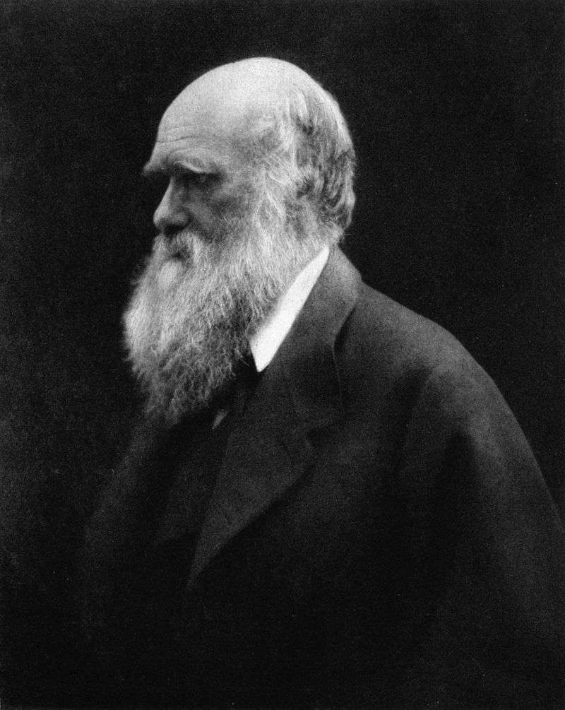 During the Darwin family's 1868 holiday in her Isle of Wight cottage, Julia Margaret Cameron took portraits showing the bushy beard Darwin grew between 1862 and 1866.