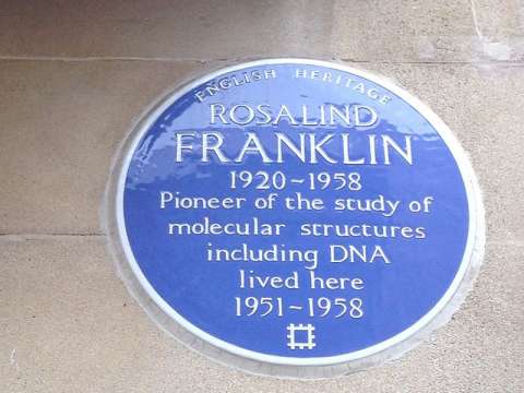 Blue plaque on 107 Drayton Gardens, London SW10