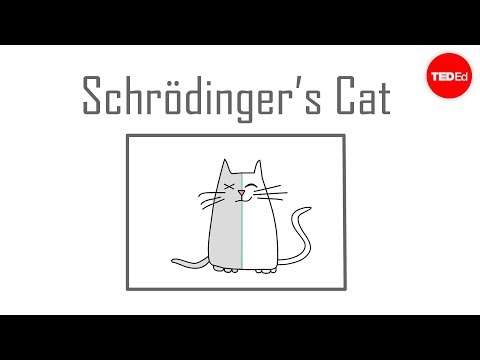 Schrödinger's cat: A thought experiment in quantum mechanics - Chad Orzel