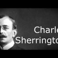 Charles Scott Sherrington Biography - English Neurophysiologist, Bacteriologist and a Pathologist