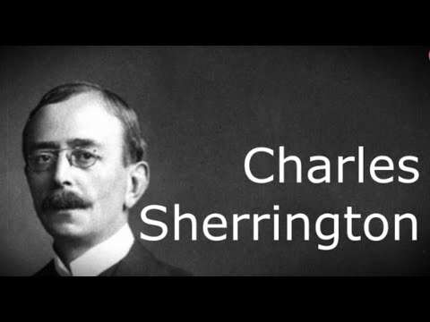 Charles Scott Sherrington Biography - English Neurophysiologist, Bacteriologist and a Pathologist